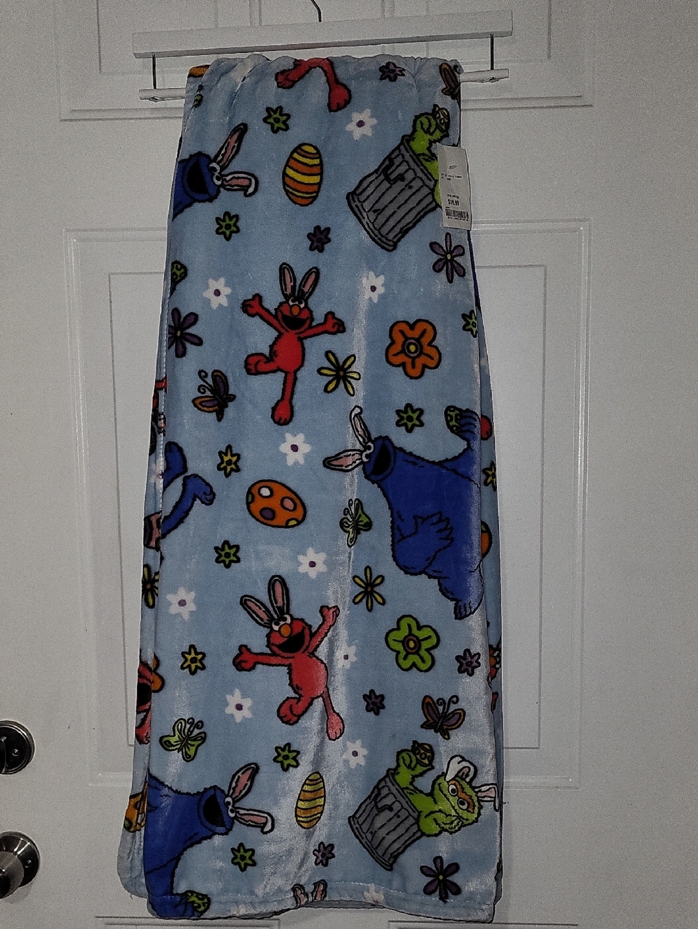 Sesame Street Light Blue Printed Plush Throw Blanket